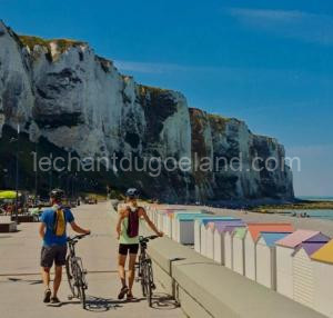 Chez Vincent, Chambres doubles équipées, avec accès privé, très bon emplacement dans Dieppe, au calme, avec Parking Gratuit et Clôturé, terrasse et grand jardin, simple et convivial, Animaux admis à Dieppe